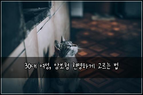 30대 여성, 암보험 현명하게 고르는 법