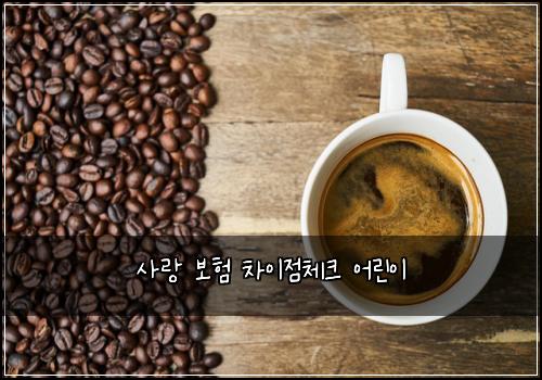 사랑 보험 차이점체크  어린이 
