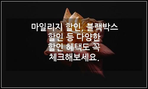 오늘의 이미지