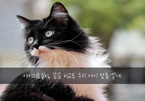 아이의료실비, 꼼꼼 비교로 우리 아이 맞춤 설계