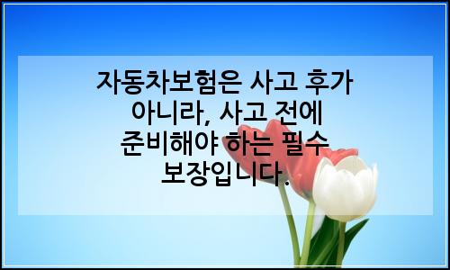오늘의 이미지