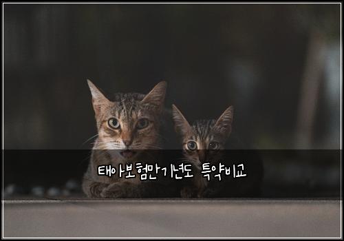 ํ์๋ณดํ๋ง๊ธฐ๋
๋ ํน์ฝ๋น๊ต