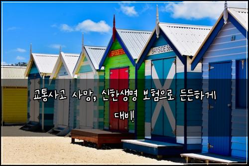 교통사고 사망, 신한생명 보험으로 든든하게 대비!