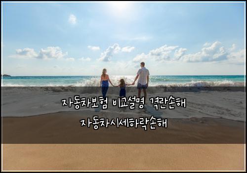 μλ차보ν λΉκ΅μ€λͺ
격λμν΄ μλμ°¨μμΈνλ½μν΄