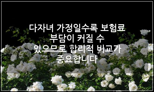 오늘의 이미지