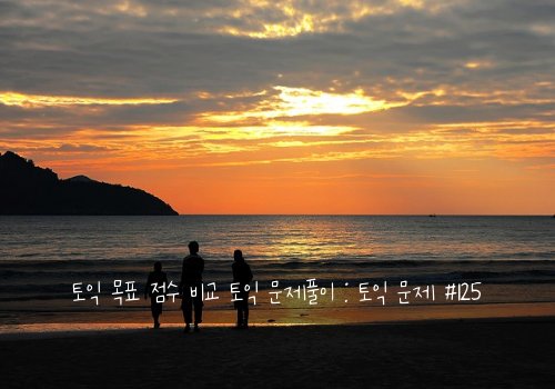 토익 목표 점수 비교 토익 문제풀이 : 토익 문제 #125