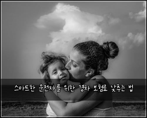  스마트한 운전자를 위한 경차 보험료 낮추는 법