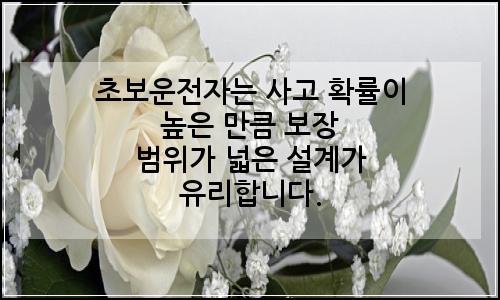 오늘의 이미지