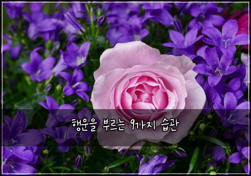 ํ์ด์ ๋ถ๋ฅด๋ 9๊ฐ์ง ์ต๊ด