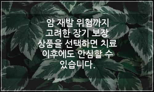 오늘의 이미지