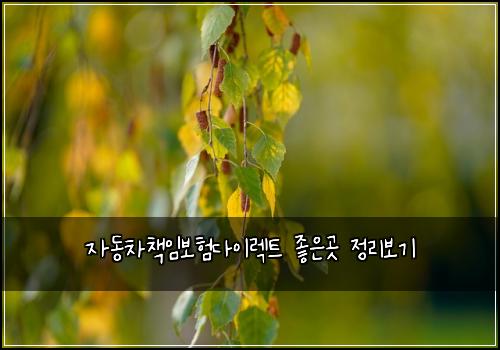 μλμ°¨μ±
μ보νλ€μ΄λ νΈ μ’μκ³³ μ 리보기