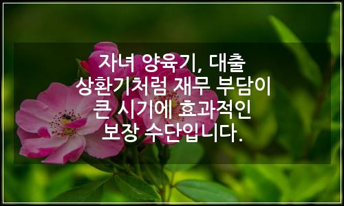오늘의 이미지
