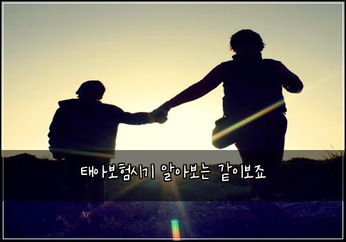 태아보험시기 알아보는 같이보죠