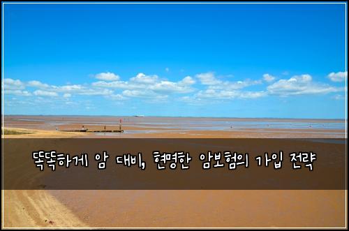 똑똑하게 암 대비, 현명한 암보험의 가입 전략