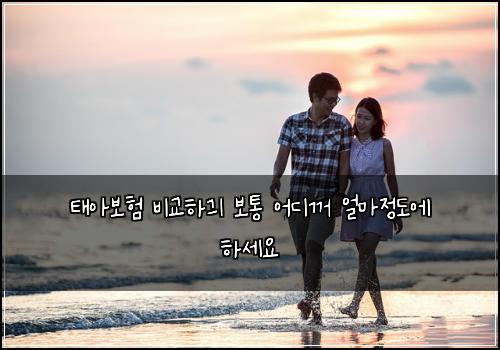 태아보험 비교하긔  보통 어디꺼 얼마정도에 하세요