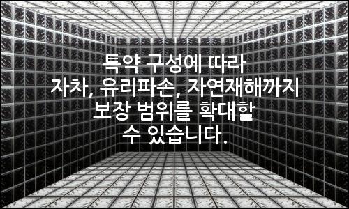오늘의 이미지