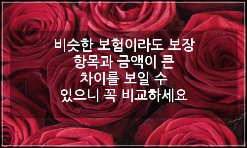 오늘의 이미지