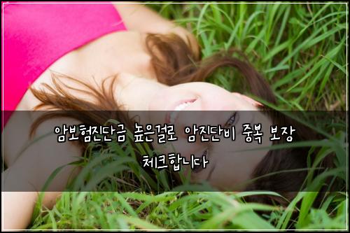 암보험진단금 높은걸로 암진단비 중복 보장 체크합니다