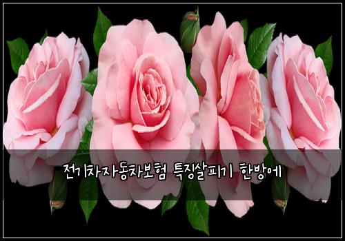 ์ ๊ธฐ์ฐจ์๋์ฐจ๋ณดํ ํน์ง์ดํผ๊ธฐ ํ๋ฐฉ์