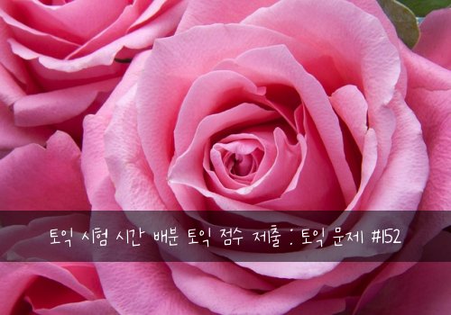 토익 시험 시간 배분 토익 점수 제출 : 토익 문제 #152