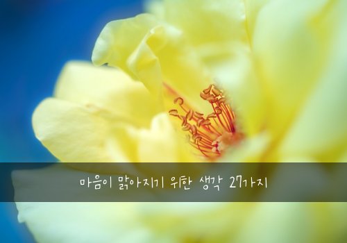 마음이 맑아지기 위한 생각 27가지