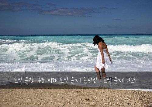 토익 문장 구조 이해 토익 문제 공략법 : 토익 문제 #124