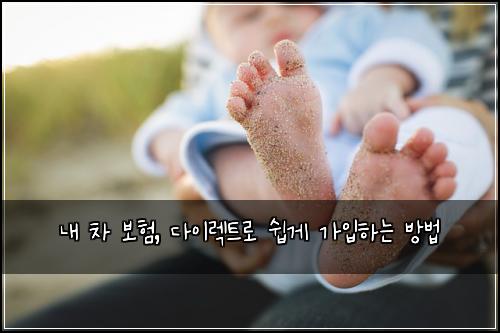  내 차 보험, 다이렉트로 쉽게 가입하는 방법