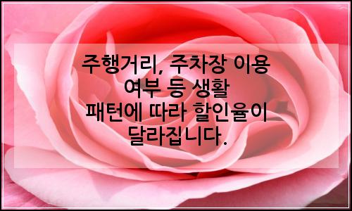 오늘의 이미지