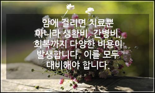 오늘의 이미지