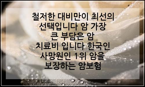 오늘의 이미지