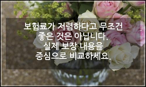 오늘의 이미지