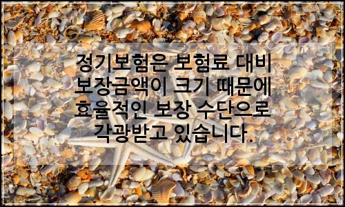 오늘의 이미지