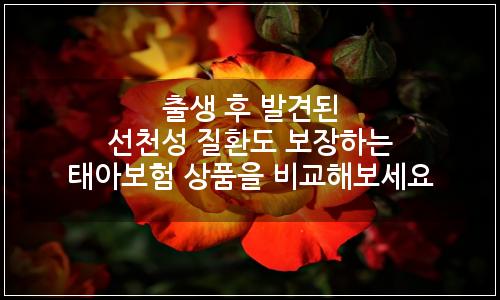 오늘의 이미지