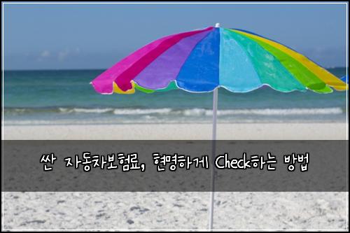  싼 자동차보험료, 현명하게 Check하는 방법