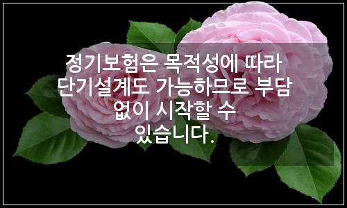 오늘의 이미지
