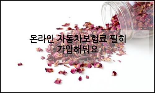 오늘의 이미지
