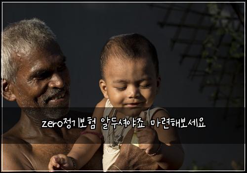 zero정기보험 알두셔야죠  마련해보세요