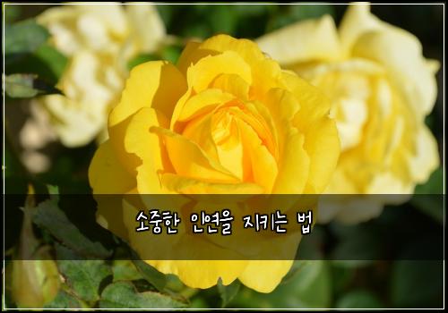 ์์คํ ์ธ์ฐ์ ์งํค๋ ๋ฒ