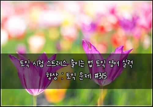 토익 시험 스트레스 줄이는 법 토익 영어 실력 향상 : 토익 문제 #315