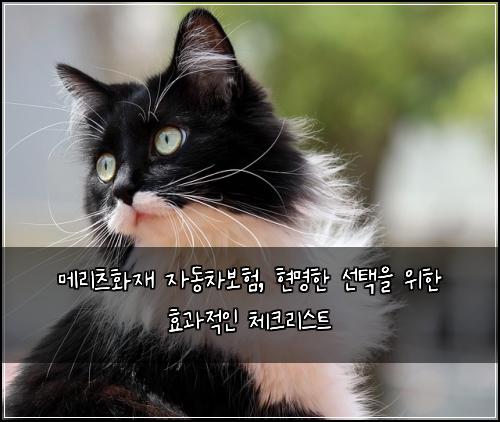 메리츠화재 자동차보험, 현명한 선택을 위한 효과적인 체크리스트