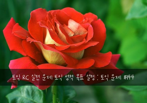 토익 RC 실전 문제 토익 성적 목표 설정 : 토익 문제 #144