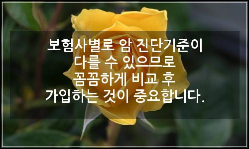 오늘의 이미지