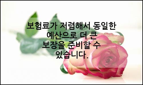 오늘의 이미지
