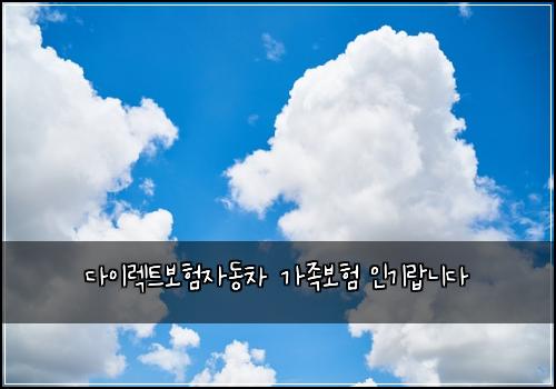 다이렉트보험자동차 가족보험 인기랍니다