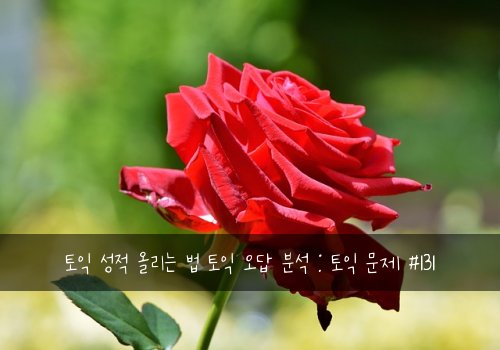 토익 성적 올리는 법 토익 오답 분석 : 토익 문제 #131