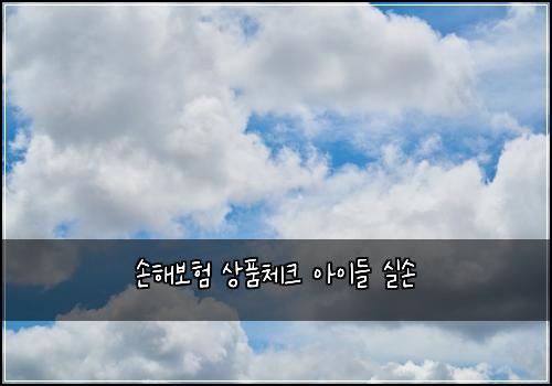 손해보험 상품체크  아이들 실손