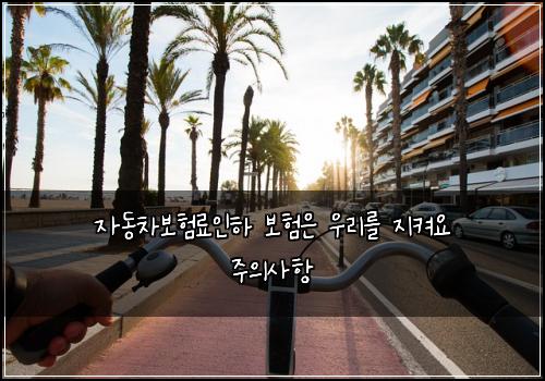 ์๋์ฐจ๋ณดํ๋ฃ์ธํ ๋ณดํ์ ์ฐ๋ฆฌ๋ฅผ ์ง์ผ์ ์ฃผ์์ฌํญ