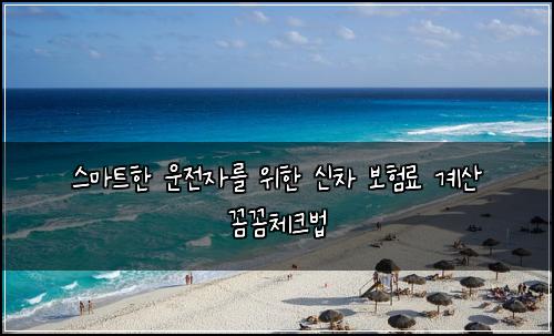  스마트한 운전자를 위한 신차 보험료 계산 꼼꼼체크법