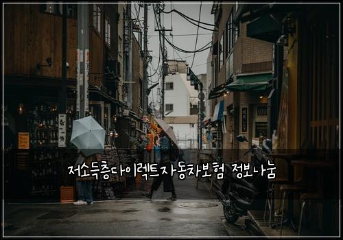 ์ ์๋์ธต๋ค์ด๋ ํธ์๋์ฐจ๋ณดํ ์ ๋ณด๋๋