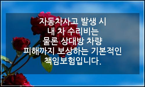 오늘의 이미지
